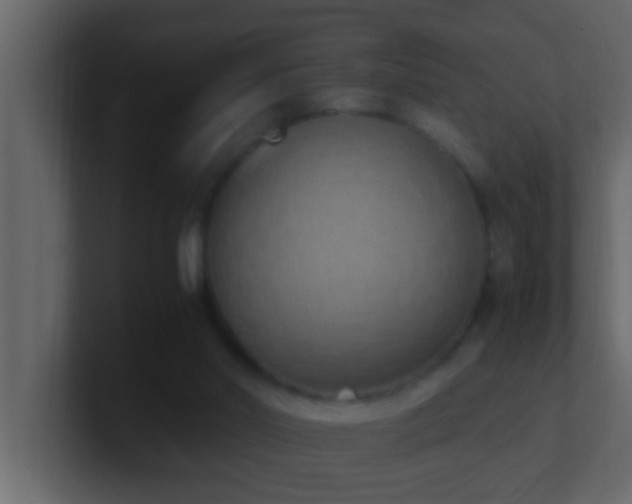 X0000101680014200807101431