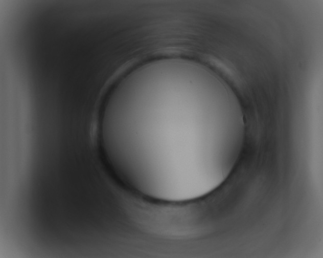 X0000101680016200807101431