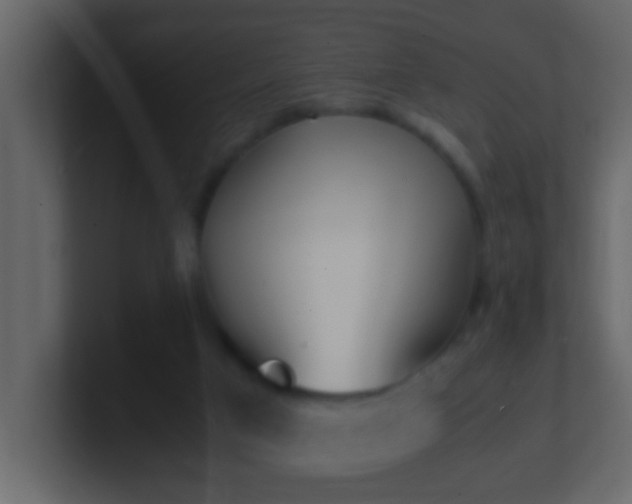 X0000101680017200807101431