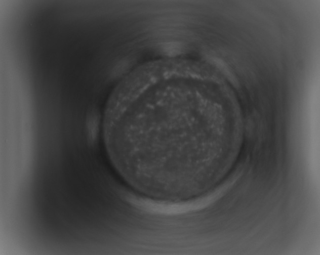 X0000101680018200807101431