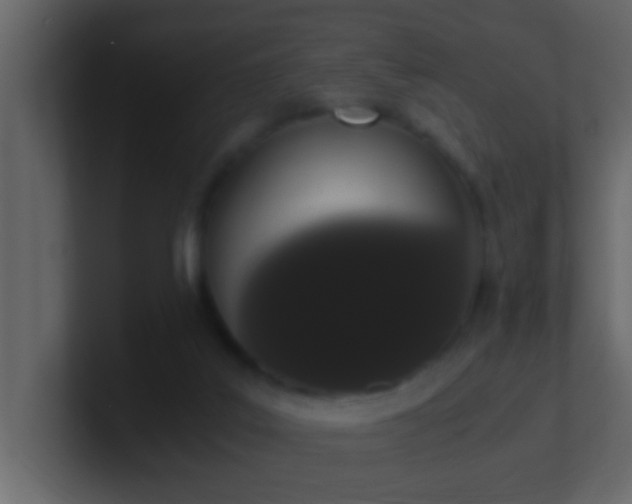 X0000101680019200807101431