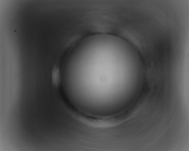 X0000101680020200807101431