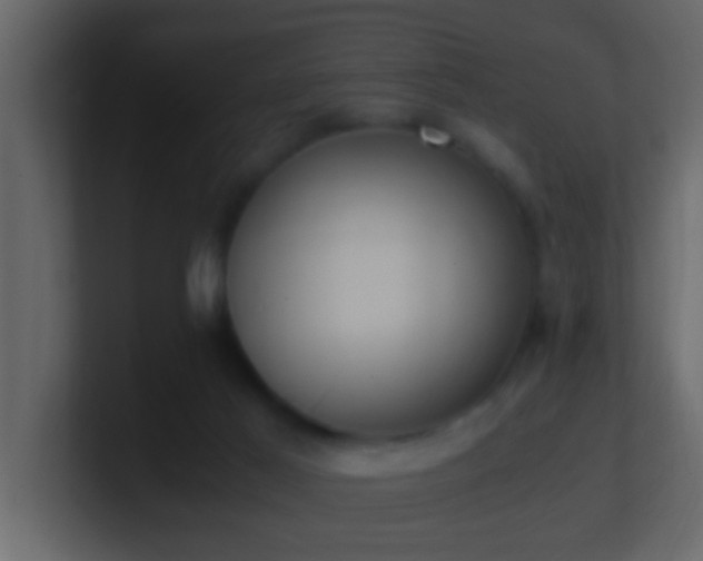 X0000101680021200807101431