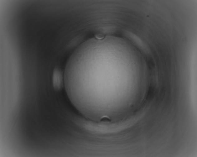 X0000101680022200807101431