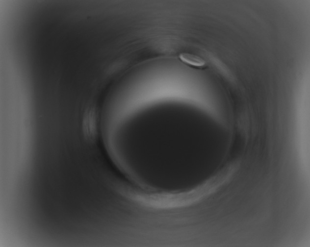 X0000101680023200807101431