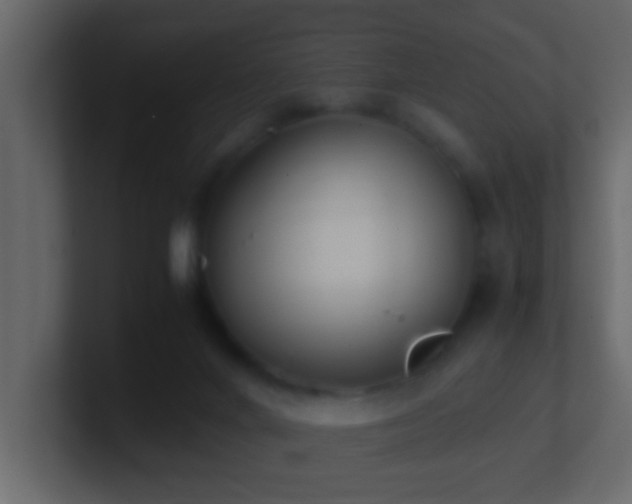 X0000101680024200807101431