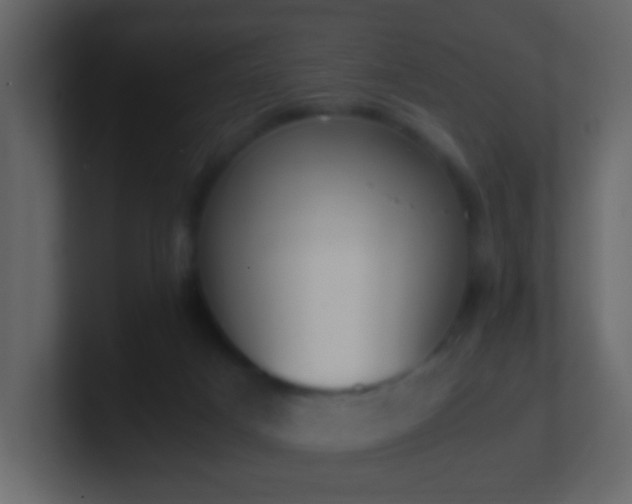 X0000101680025200807101431