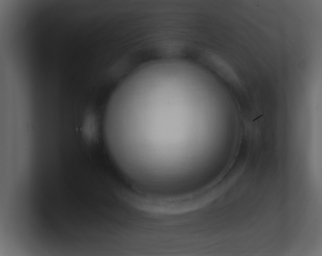 X0000101680026200807101431