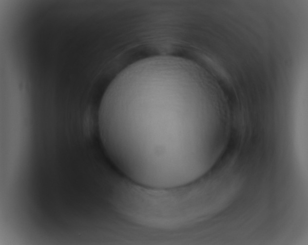 X0000101680030200807101431