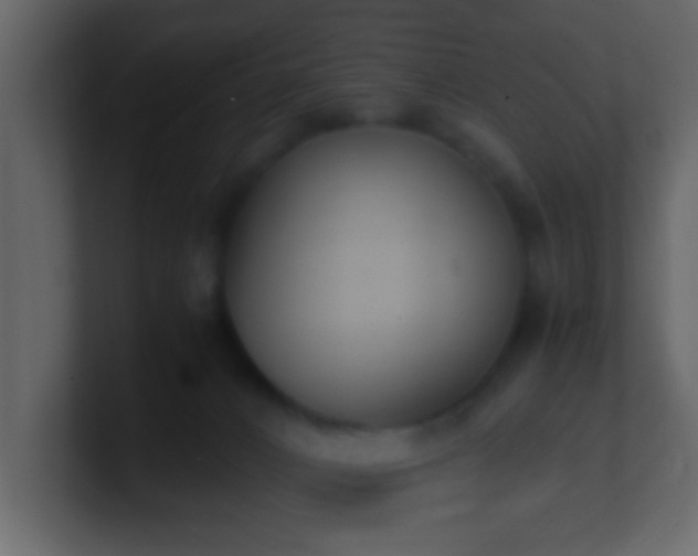 X0000101680032200807101431