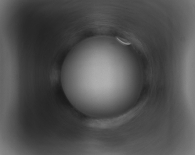 X0000101680033200807101431