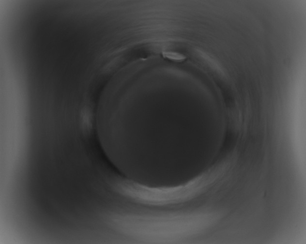 X0000101680035200807101431