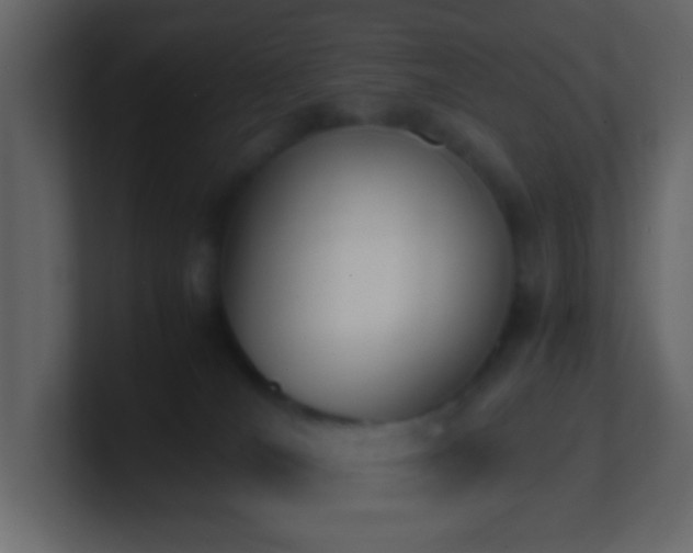 X0000101680036200807101431