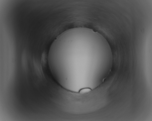 X0000101680038200807101431