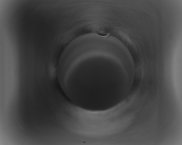 X0000101680039200807101431