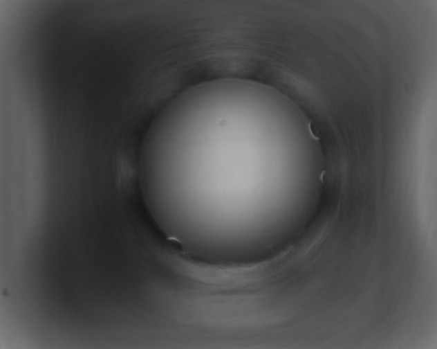 X0000101680040200807101431