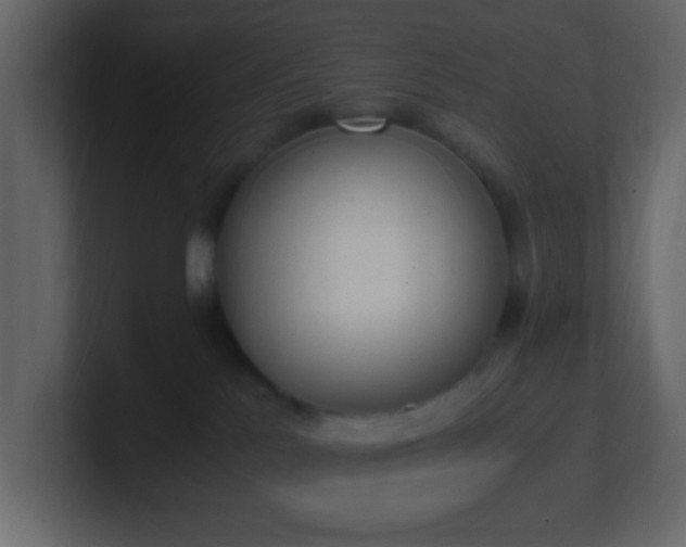 X0000101680041200807101431