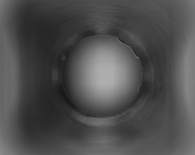 X0000101680044200807101431