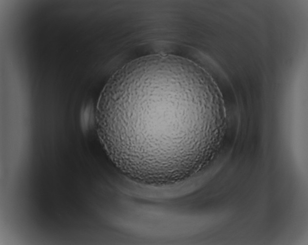 X0000101680046200807101431