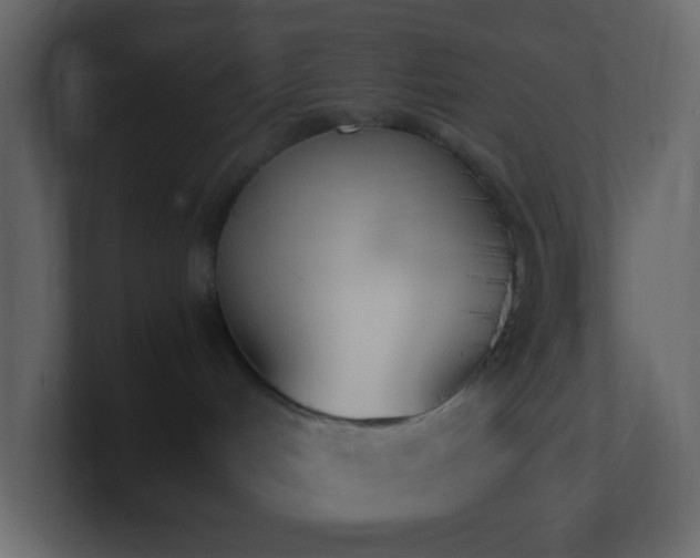 X0000101680048200807101431