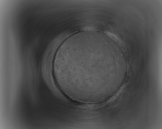 X0000101680049200807101430