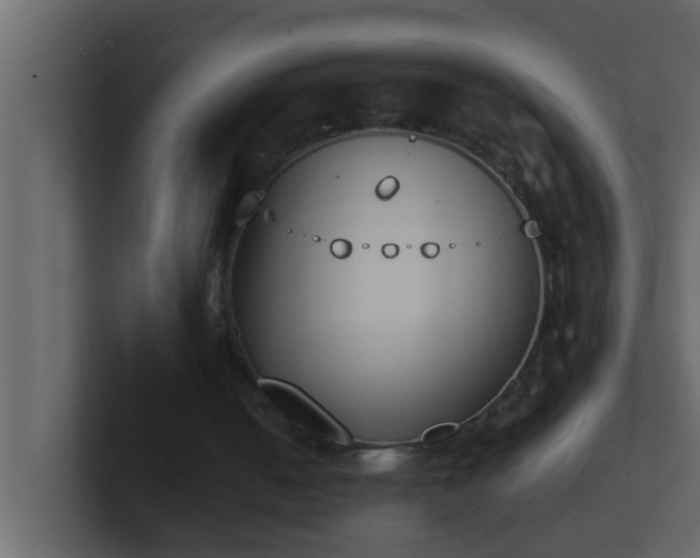 X0000101680050200807101430