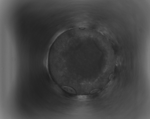 X0000101680052200807101430