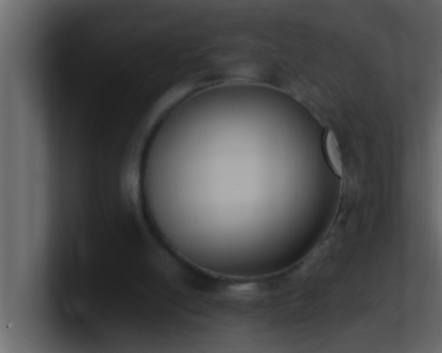 X0000101680054200807101430