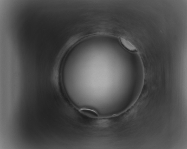 X0000101680055200807101430