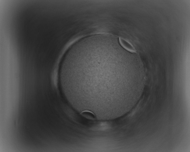 X0000101680056200807101430