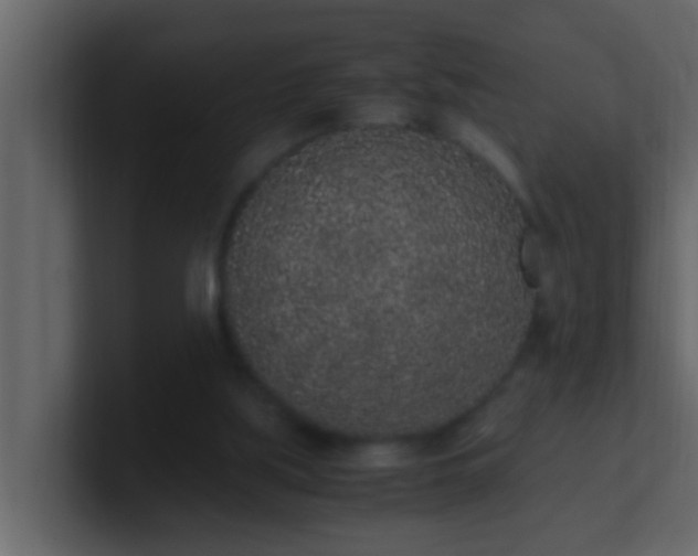 X0000101680059200807101430