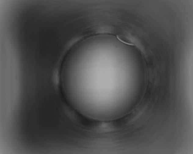 X0000101680060200807101430