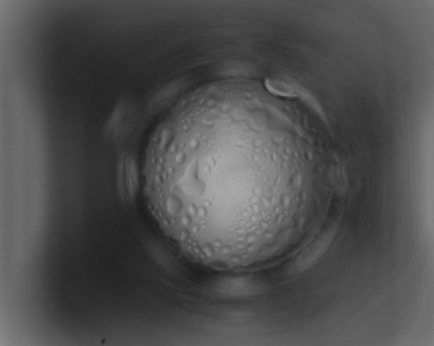 X0000101680061200807101430