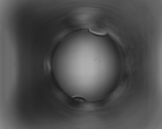 X0000101680062200807101430