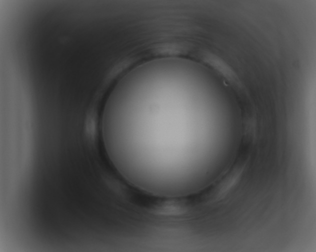 X0000101680064200807101430