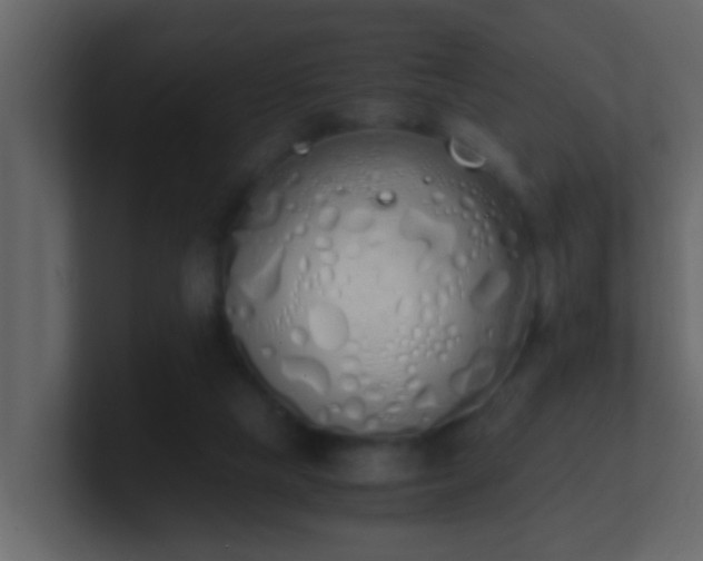 X0000101680065200807101430