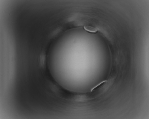 X0000101680066200807101430