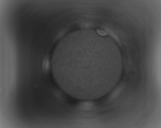 X0000101680067200807101430