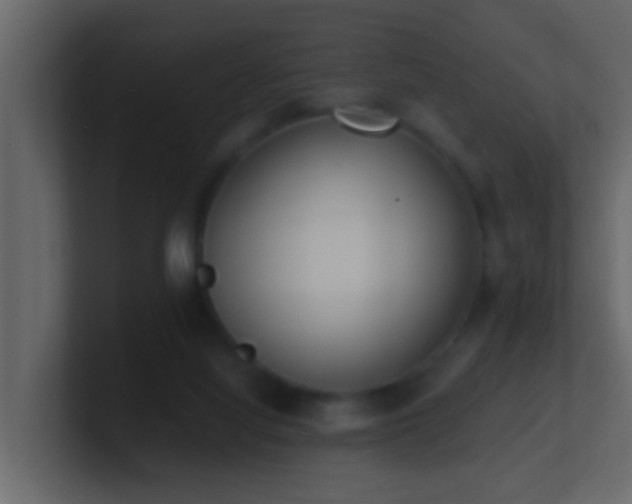 X0000101680068200807101430