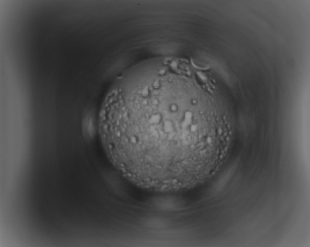 X0000101680069200807101430