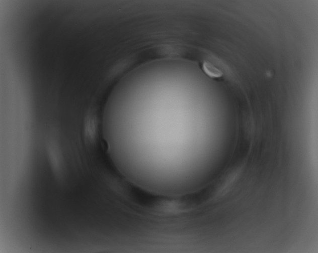 X0000101680071200807101430