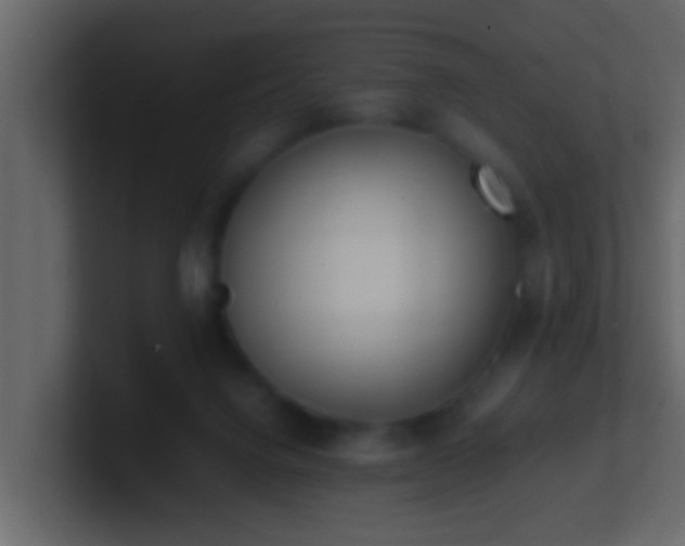 X0000101680072200807101430