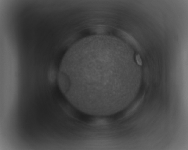 X0000101680073200807101430