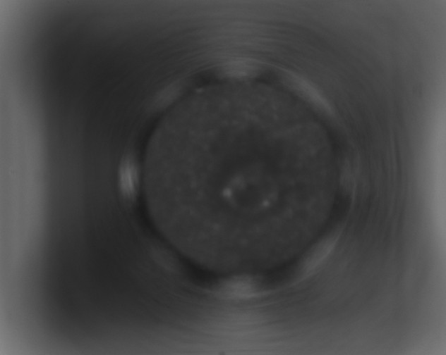 X0000101680076200807101430