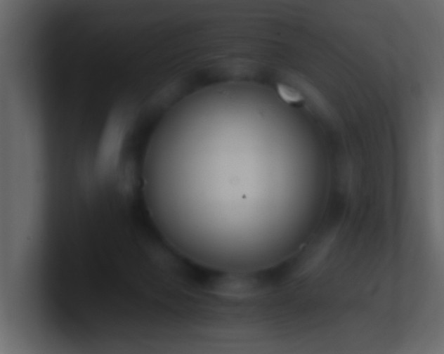 X0000101680077200807101430