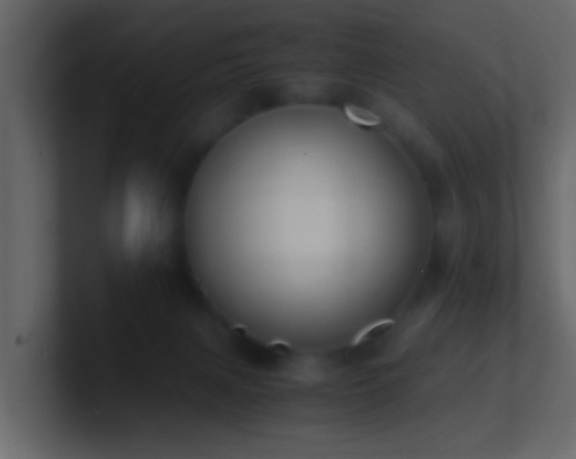 X0000101680079200807101430