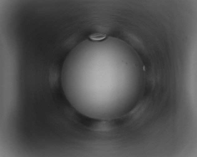 X0000101680082200807101431