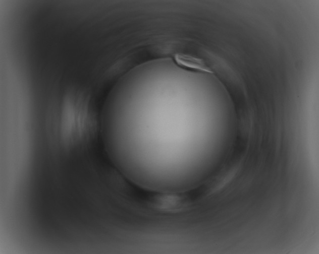 X0000101680085200807101431