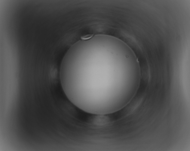 X0000101680087200807101431