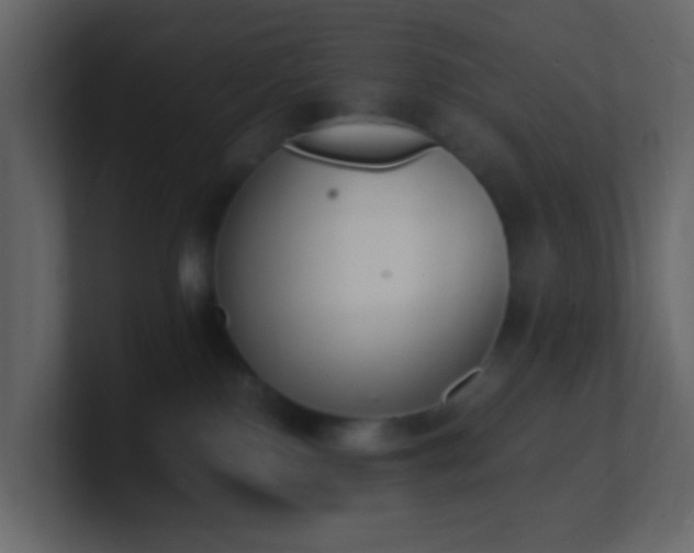 X0000101680090200807101431